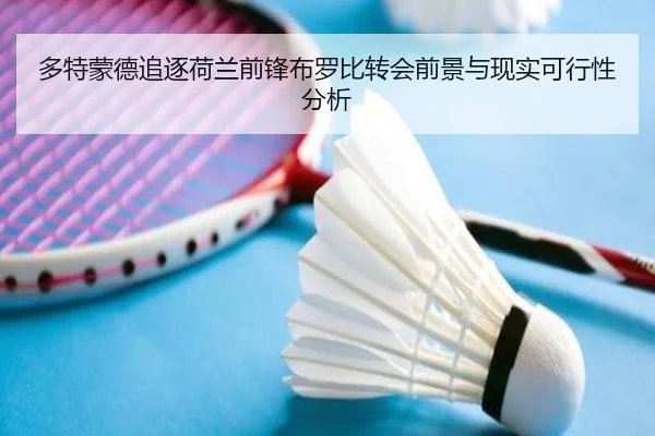 多特蒙德追逐荷兰前锋布罗比转会前景与现实可行性分析 - kaiyun