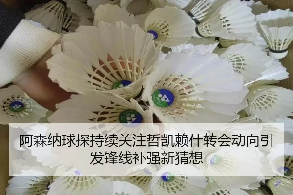 阿森纳球探持续关注哲凯赖什转会动向引发锋线补强新猜想（kaiyun）